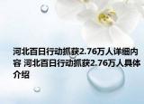 河北百日行动抓获2.76万人详细内容 河北百日行动抓获2.76万人具体介绍