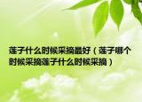 莲子什么时候采摘最好（莲子哪个时候采摘莲子什么时候采摘）