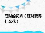 旺财的花卉（旺财要养什么花）