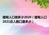 缅甸人口有多少2020（缅甸人口2021总人数口是多少）