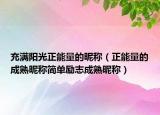 充满阳光正能量的昵称（正能量的成熟昵称简单励志成熟昵称）