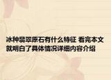 冰种翡翠原石有什么特征 看完本文就明白了具体情况详细内容介绍