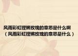 风雨彩虹铿锵玫瑰的意思是什么啊（风雨彩虹铿锵玫瑰的意思是什么）