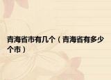 青海省市有几个（青海省有多少个市）