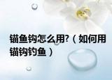 锚鱼钩怎么用?（如何用锚钩钓鱼）