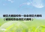 被狂犬病猫咬伤一定会得狂犬病吗（被猫咬伤会得狂犬病吗）