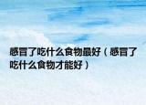 感冒了吃什么食物最好（感冒了吃什么食物才能好）