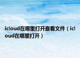 icloud在哪里打开查看文件（icloud在哪里打开）