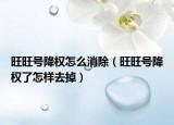 旺旺号降权怎么消除（旺旺号降权了怎样去掉）