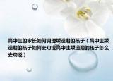 高中生的家长如何调理叛逆期的孩子（高中生叛逆期的孩子如何去劝说高中生叛逆期的孩子怎么去劝说）