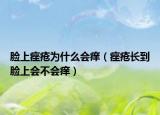 脸上痤疮为什么会痒（痤疮长到脸上会不会痒）