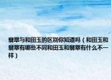 翡翠与和田玉的区别你知道吗（和田玉和翡翠有哪些不同和田玉和翡翠有什么不一样）