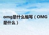 omg是什么缩写（OMG是什么）