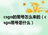 csgo的黑号怎么来的（csgo黑号是什么）