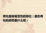 脊柱最容易受伤的部位（最伤脊柱的姿势是什么呢）