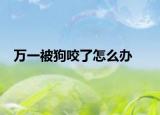 万一被狗咬了怎么办
