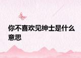 你不喜欢见绅士是什么意思