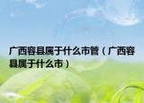 广西容县属于什么市管（广西容县属于什么市）