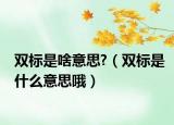 双标是啥意思?（双标是什么意思哦）
