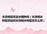 半透明翡翠是冰糯种吗（半透明冰种翡翠如何半透明冰种翡翠怎么样）