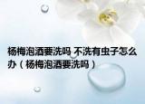 杨梅泡酒要洗吗 不洗有虫子怎么办（杨梅泡酒要洗吗）