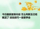 今日最新更新内容 怎么判断玉已经戴活了 这些技巧一定要学会