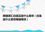 网络词汇白莲花是什么意思（白莲是什么意思网络用语）