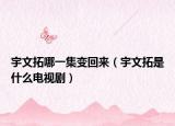 宇文拓哪一集变回来（宇文拓是什么电视剧）
