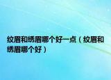 纹眉和绣眉哪个好一点（纹眉和绣眉哪个好）