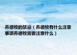 养德牧的禁忌（养德牧有什么注意事项养德牧需要注意什么）