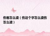 伤着怎么读（伤这个字怎么读伤怎么读）