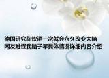德国研究称饮酒一次就会永久改变大脑 网友难怪我脑子笨具体情况详细内容介绍