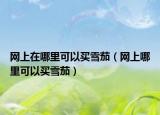 网上在哪里可以买雪茄（网上哪里可以买雪茄）