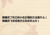 眼睛进了灰尘和小虫正确的方法是什么（眼睛进飞虫或者沙尘应该怎么办）