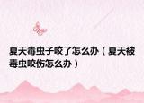 夏天毒虫子咬了怎么办（夏天被毒虫咬伤怎么办）