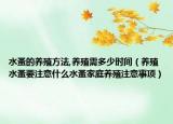水蚤的养殖方法,养殖需多少时间（养殖水蚤要注意什么水蚤家庭养殖注意事项）