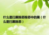 什么是扫黑除恶除恶中的黑（什么是扫黑除恶）