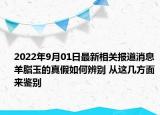 2022年9月01日最新相关报道消息 羊脂玉的真假如何辨别 从这几方面来鉴别
