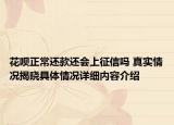 花呗正常还款还会上征信吗 真实情况揭晓具体情况详细内容介绍