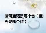 请问宝鸡是哪个省（宝鸡是哪个省）