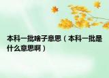 本科一批啥子意思（本科一批是什么意思啊）
