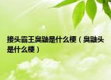 接头霸王臭鼬是什么梗（臭鼬头是什么梗）