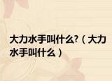 大力水手叫什么?（大力水手叫什么）