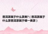 普洱茶属于什么茶类?（普洱茶属于什么茶普洱茶属于哪一类茶）