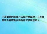 卫矛盆景的养殖方法和注意事项（卫矛盆景怎么养呢新手适合养卫矛盆景吗）