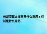 老谋深算亦枉然是什么意思（枉然是什么意思）