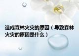 造成森林火灾的原因（导致森林火灾的原因是什么）