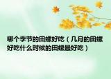 哪个季节的田螺好吃（几月的田螺好吃什么时候的田螺最好吃）