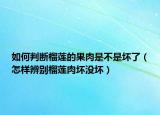如何判断榴莲的果肉是不是坏了（怎样辨别榴莲肉坏没坏）
