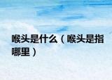 喉头是什么（喉头是指哪里）